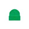 Embroidered Beanie - Greenscreen